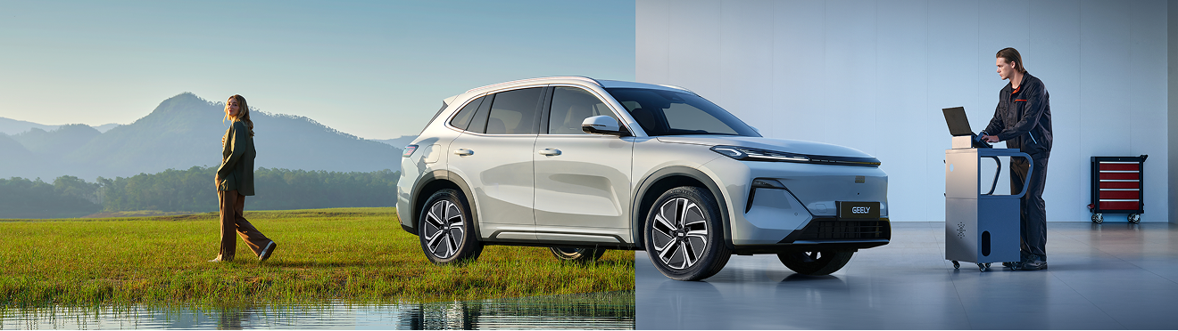 GEELY STARRAY EM-I aftersales banner